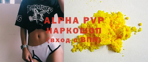 СК Вязьма