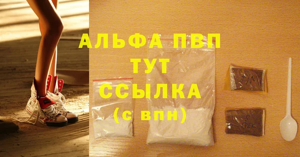 СК Вязьма