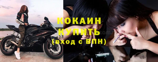 СК Вязьма