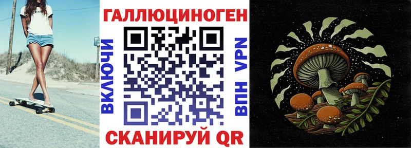 Псилоцибиновые грибы Psilocybe  продажа наркотиков  OMG зеркало  Ковылкино 